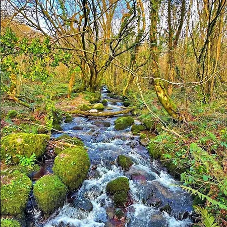 Mountingrovebnb * Piltown