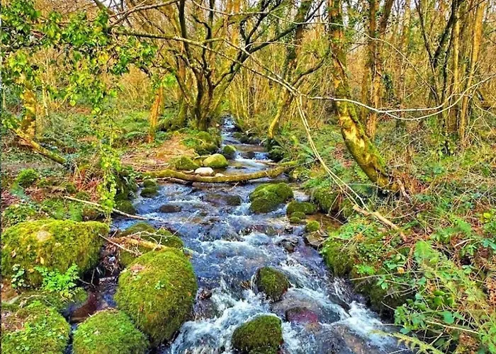 Mountingrovebnb * Piltown